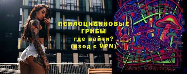гидропоника Абаза