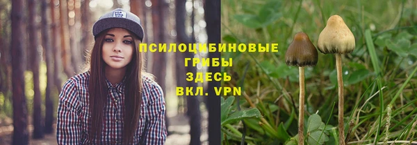 гидропоника Абаза