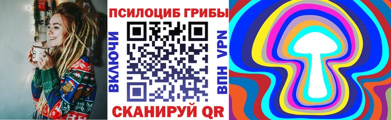 магазин    Эртиль  Псилоцибиновые грибы Psilocybe 