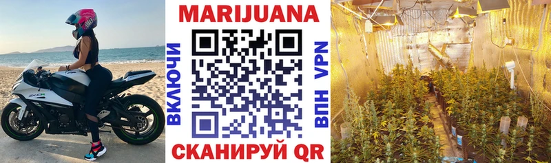 Канабис White Widow  кракен зеркало  Эртиль  наркотики 
